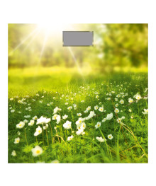 Весы напольные Добрыня DO-3006G (180кг) электронные (поляна)