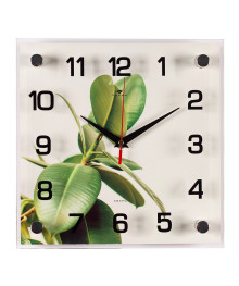 Часы настенные СН 2525 - 051 Фикус квадратные (25x25) (10)