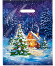 пакет проруб.ПВД 31*40/60 Ночное чудо уп 50 (536438)