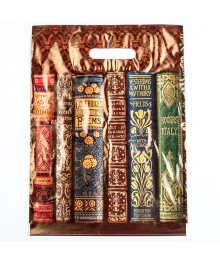 пакет проруб.ПВД 30*40/50  Книги (502755)ке. Контейнеры оптом с доставкой по Дальнему Востоку. Большой каталог коробок оптом по низкой цене.