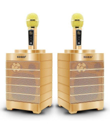 Караоке система SD-128 Золото (20Вт, BT/USB/TF, аккум, 2 беспр микр)