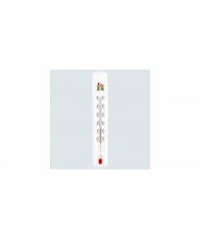 Термометр комнатный "Домик" ТСК-7 в блистереры оптом с доставкой по Дальнему Востоку. Термометры оптом по низкой цене со склада в Новосибирске.