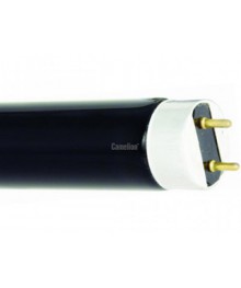 Лампа люминесцентная Camelion FT8-18W BLACKLIGHT BLUE (Ультрафиолетовая лампа 18W ,L=604mm)