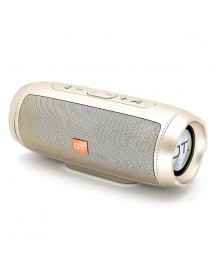 Колонка портативная с BLUETOOTH  OT-SPB105 Золотой (2*5Вт, USB/FM/TF/ AUX, акк, 21*9*9 см)и колонки оптом по низкой цене. Большой каталог Мини колонок оптом с доставкой по Дальнему Востоку.