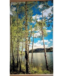 Обогреватель настенный Березки (500Вт, 105*60см) /20лянные обогреватели, тепловентиляторы оптом в Новосибирске, доставка в регионы. Сушилки для обуви.