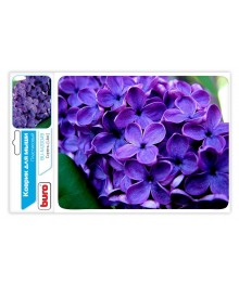 Коврик для мыши BURO BU-M20049 пластиковый сирень 230х180х2мм (25шт/уп)оптом. Коврики для мышек оптом с доставкой по Дальнему Востоку. Большой каталог ковриков для мышек.