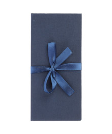 Конверт ДЛЯ ДЕНЕГ с бантом, 172х83х16мм, синий