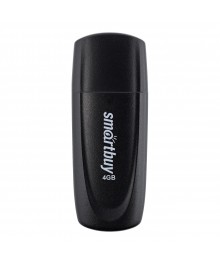 USB2.0 FlashDrives16Gb Smart Buy Scout Black (SB016GB2SCK)