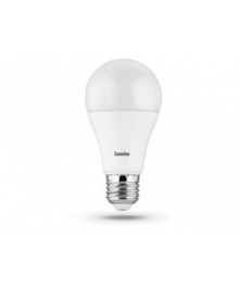 Эл. лампа светодиодная Camelion LED-A60-13W-/865/E27(Лон 13Вт 220В,аналог 100Вт) уп.1/10/100нецк, Ленинск-Кузнецк, Барнаул, Горно-Алтайск, Бийск и др. Большой каталог светодиодных ламп оптом.