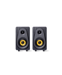 Колонки RITMIX SP-3040W