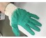 Перчатки Садовые х/б с зеленым обливом Люкс, кл.13, белые /уп.10/ 200/ к.010(цена за пару)ой каталог перчаток оптом со склада в Новосибриске. Перчатки оптом с доставкой по Дальнему Востоку.