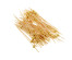 Шпажки "Золотая жемчужина", 100 шт, 12 см, бамбук, пластик